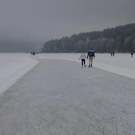 Lipno Vision リプノ・ナト・ヴルタヴォウ