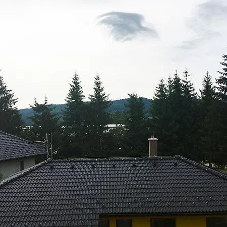 Lipno Vision *