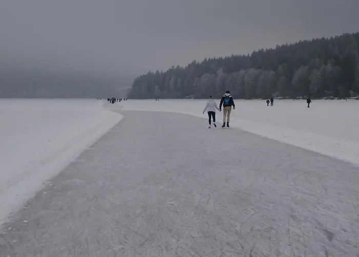 Lipno Vision Lipno nad Vltavou