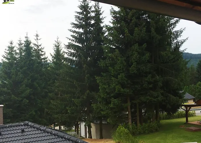 Dom wakacyjny Lipno Vision Lipno nad Vltavou