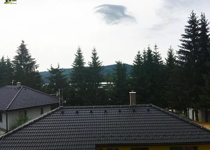 Lipno Vision *